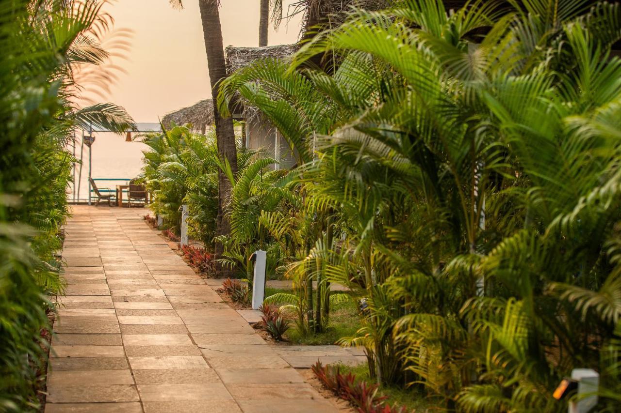 Agonda Shell Beach Resort Canacona Exteriér fotografie
